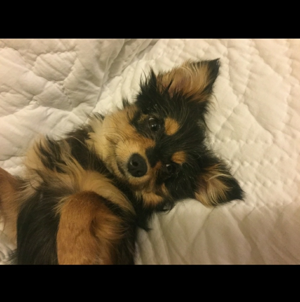 Meet your Posher, Kwana